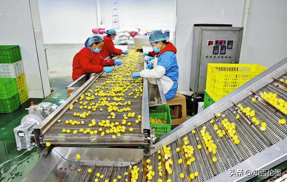 在农村办个什么小型厂可盈利,2023年30万小型加工厂创业项目