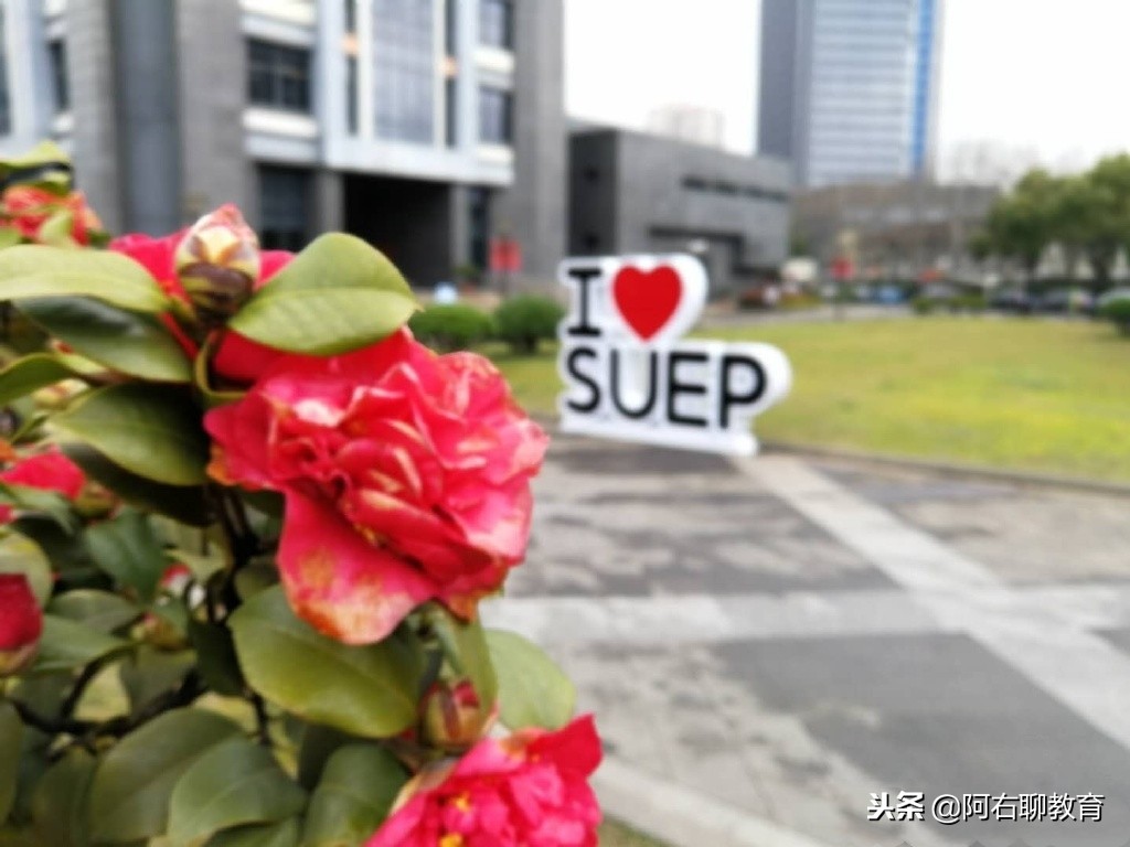 上海电力大学和上海电机学院,上海电力学院和上海电机学院