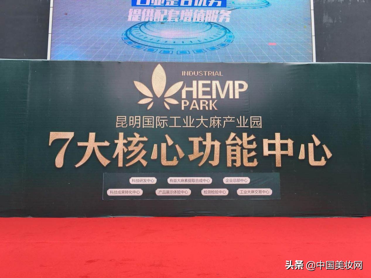 不断被追捧的*麻大**叶化妆品，谁在助力爆发？