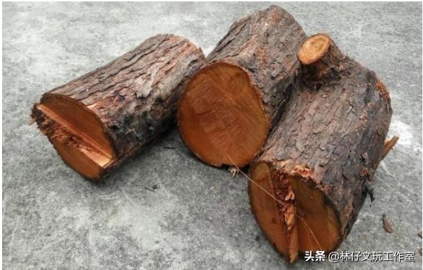 香椿木做珠子好吗,生长几年香椿木可以做手串