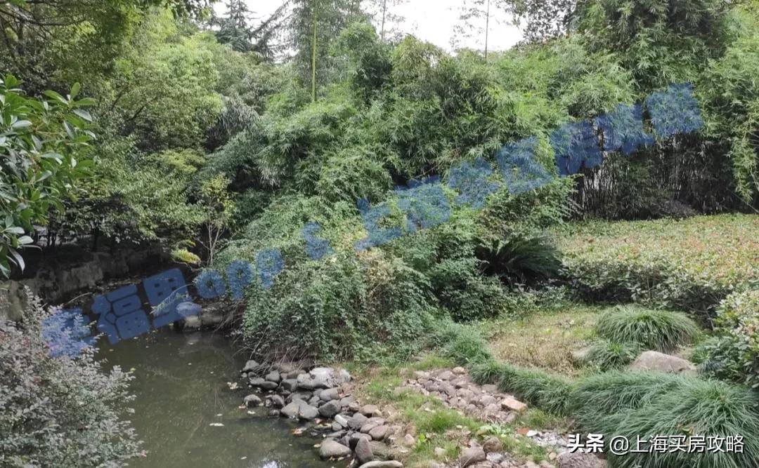 闵行区平南小学怎么样,中环双学区房多少钱