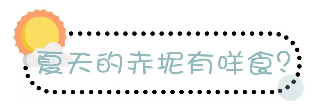 广东广州秋天正确的打开方式,广州花都夏天的好去处