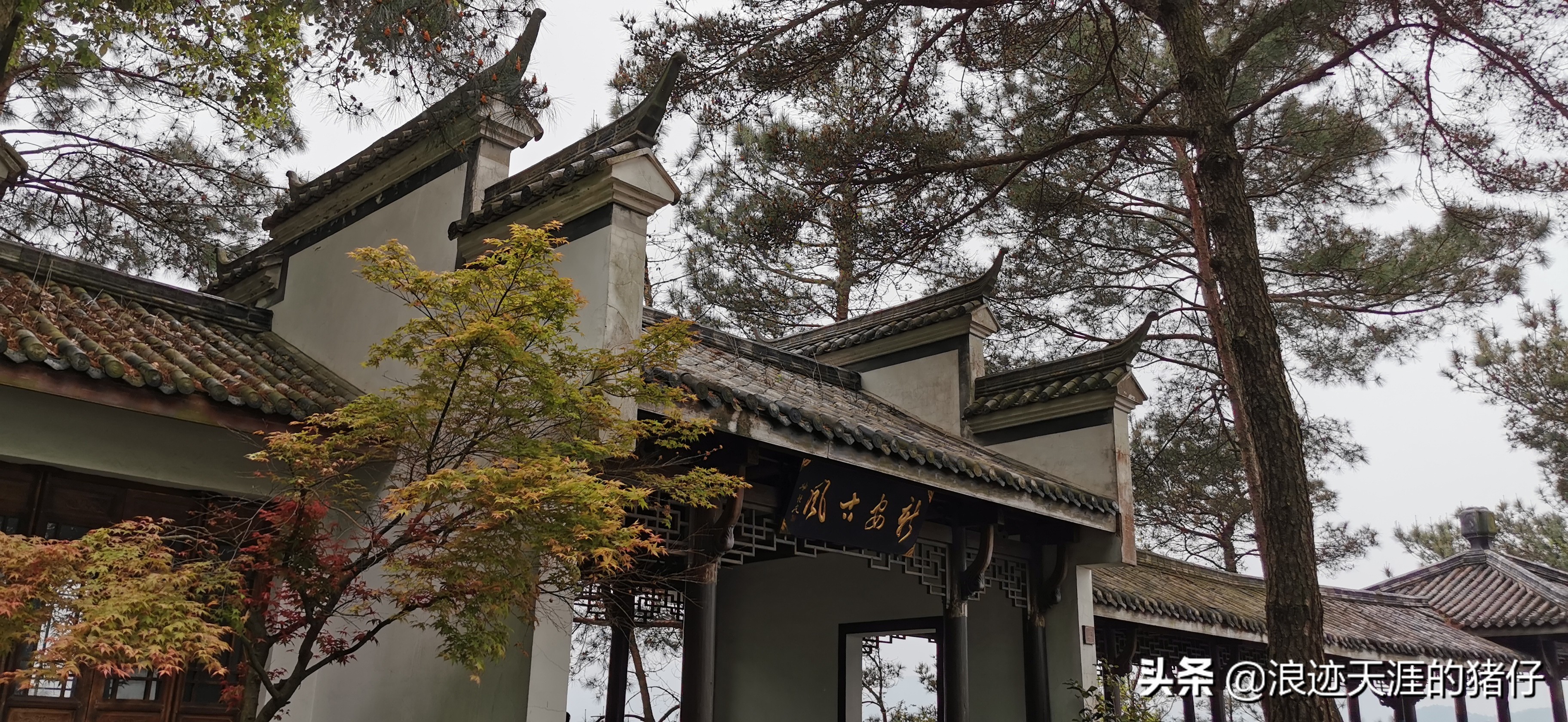 千岛湖疫情政策,千岛湖景区半价优惠