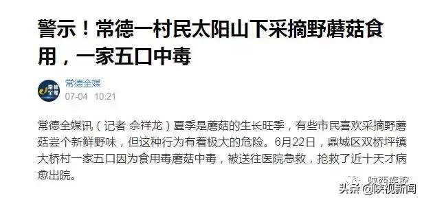 野生蘑菇吃的时候怎么辨别有毒,警惕野生蘑菇不能随便采小心中毒