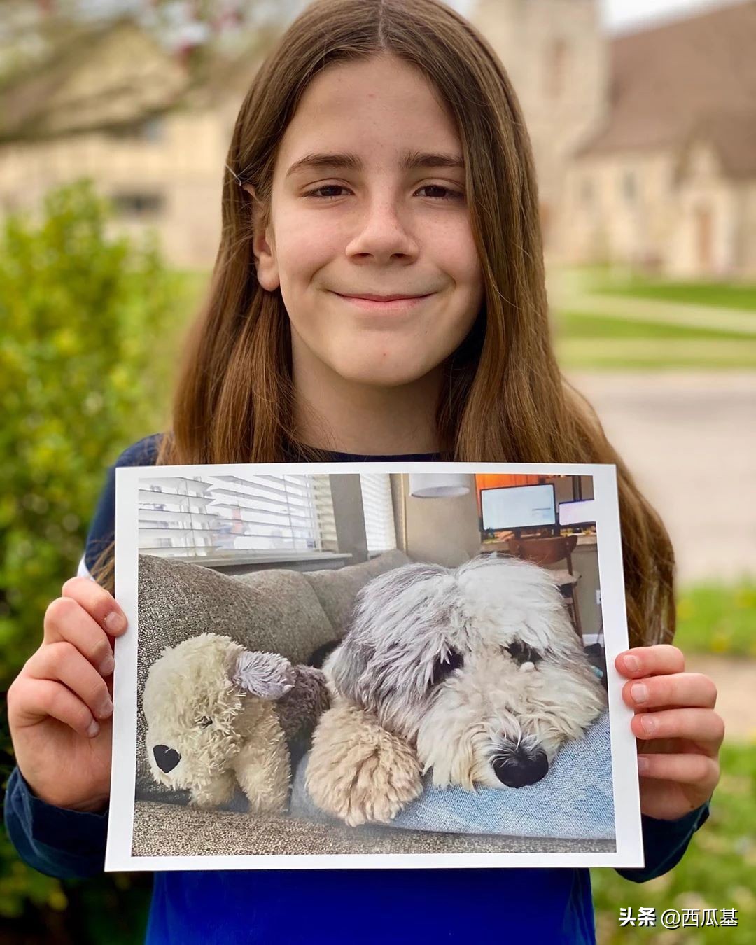 每天摸一只小狗小猫,每天摸一只小猫小狗