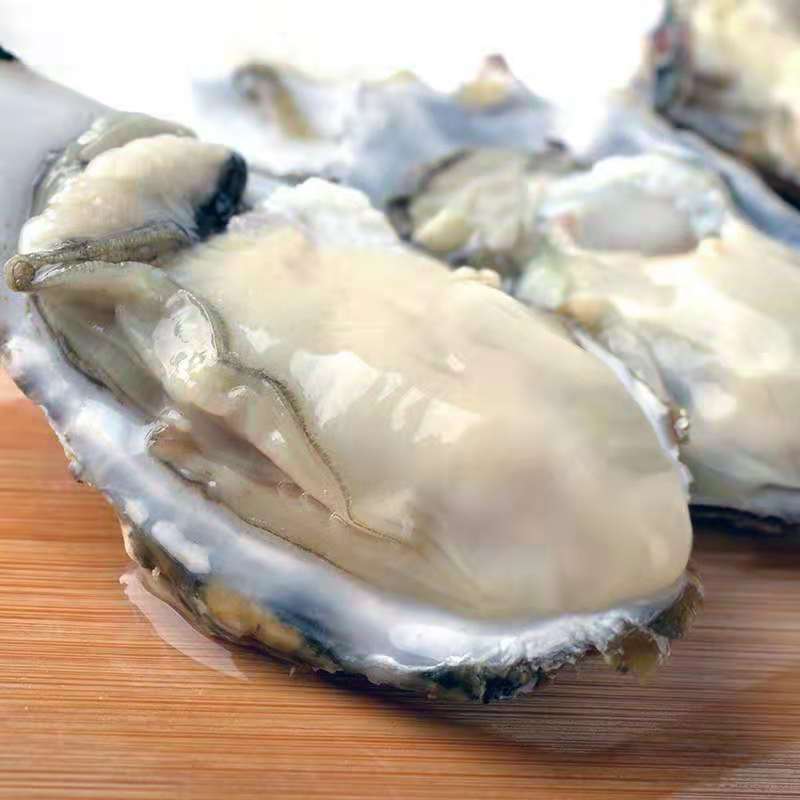 乳山牡蛎肥是什么样的,乳山牡蛎怎么选