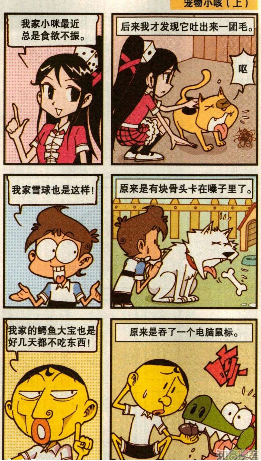 奋豆爸和星太奇,奋豆星太奇