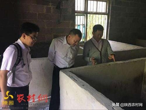 小投资大回报在家创业好项目,小城市小投资的创业项目有哪些