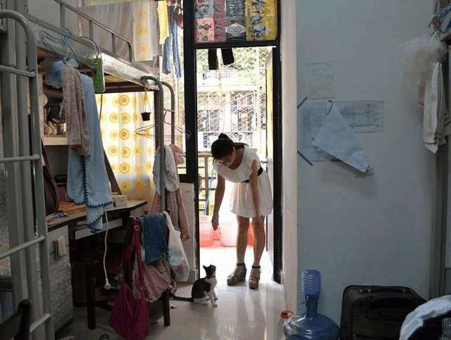 大学女生宿舍真实搞笑日常,盘点大学女生宿舍的搞笑瞬间