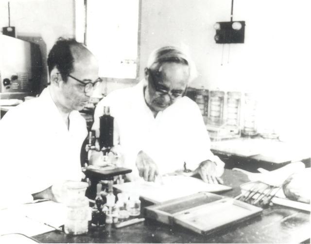 鱼类的繁殖技术,人工繁殖鱼最新技术