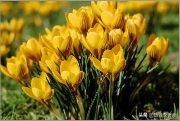 想知道春天发脾气、起痘痘、生口疮的秘密吗？