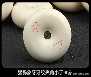 文玩流行的动物制品 (十种野生文玩)