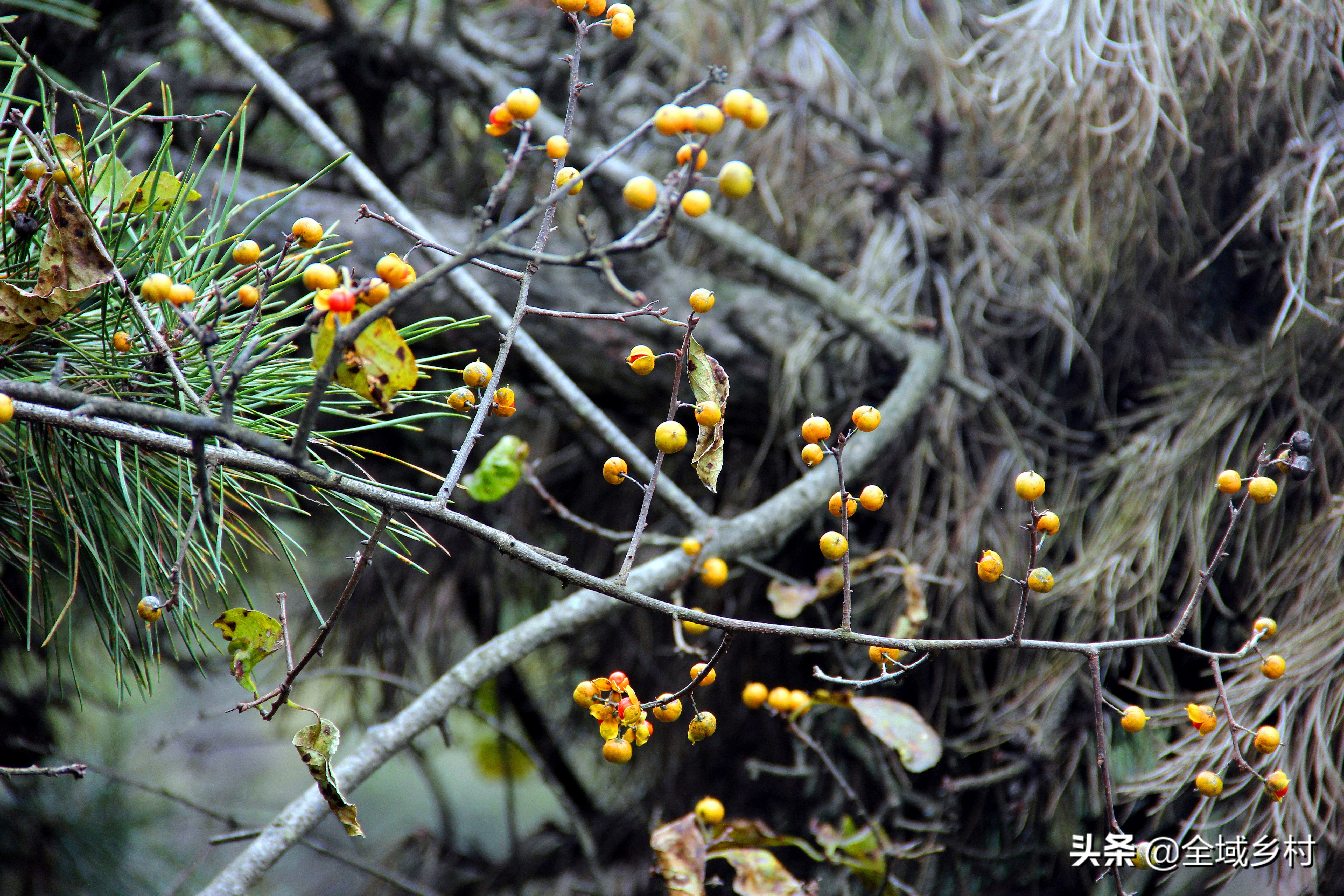 密云深山自驾游最佳路线,深山的一条天路