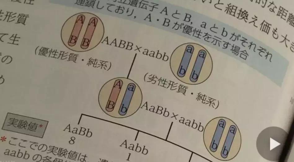 「中日双语学习」2019年7月8日NHK早7点