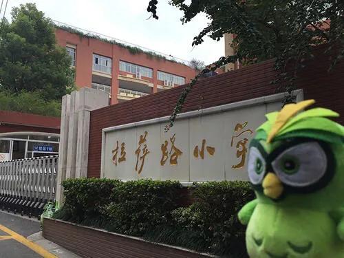 南京十大名校小学,南京拉萨路小学有多强