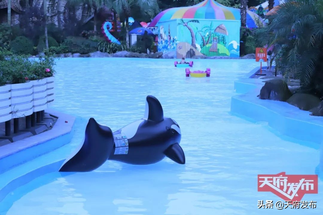 世警会游玩视频,世警会时间安排表