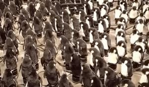 收割北京最有钱的口袋：奢侈品柜姐的秘密