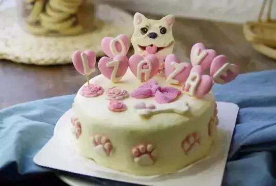 宠物生活节南京,南京宠物文化节活动