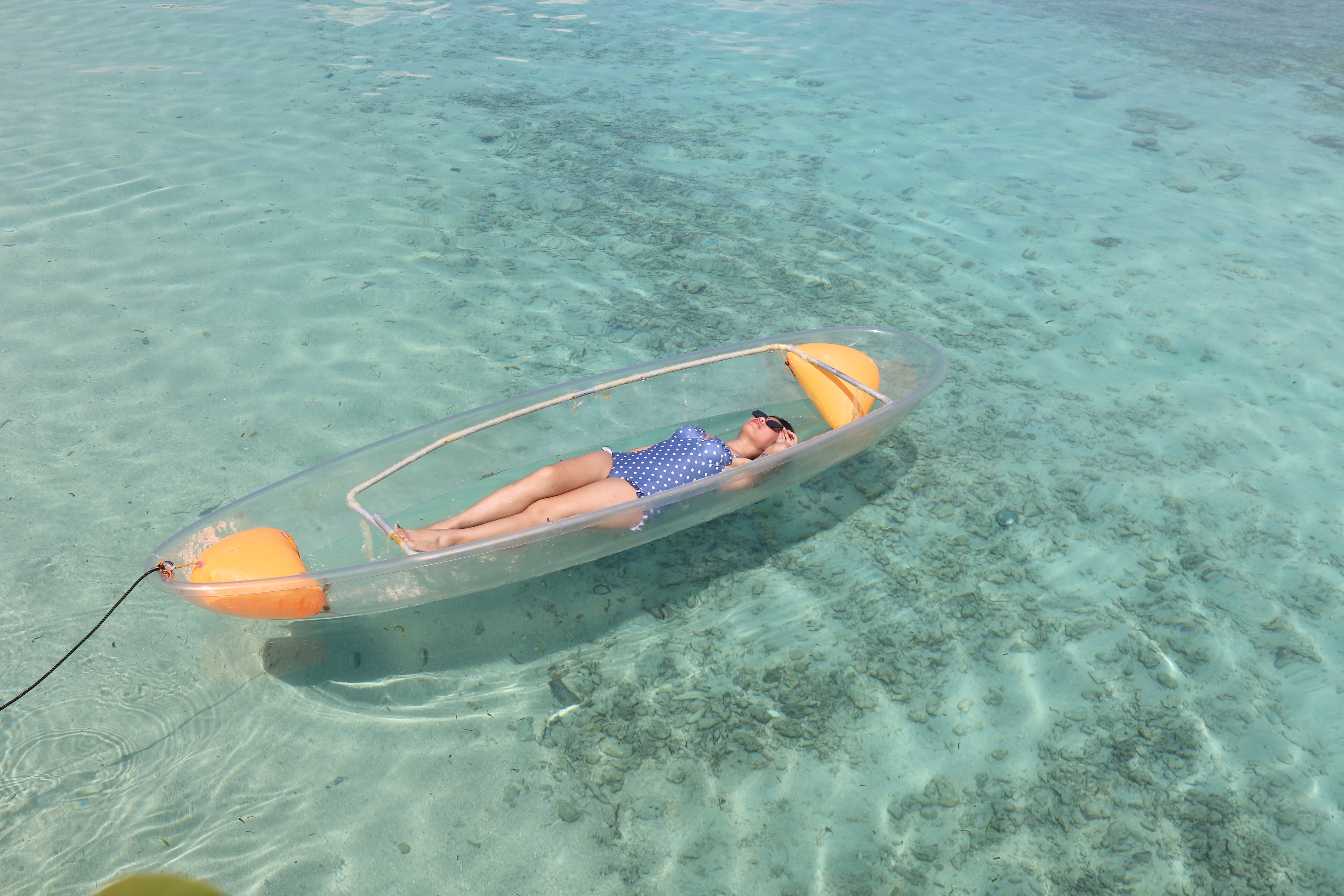 2018马来西亚之旅留影,2019回眸