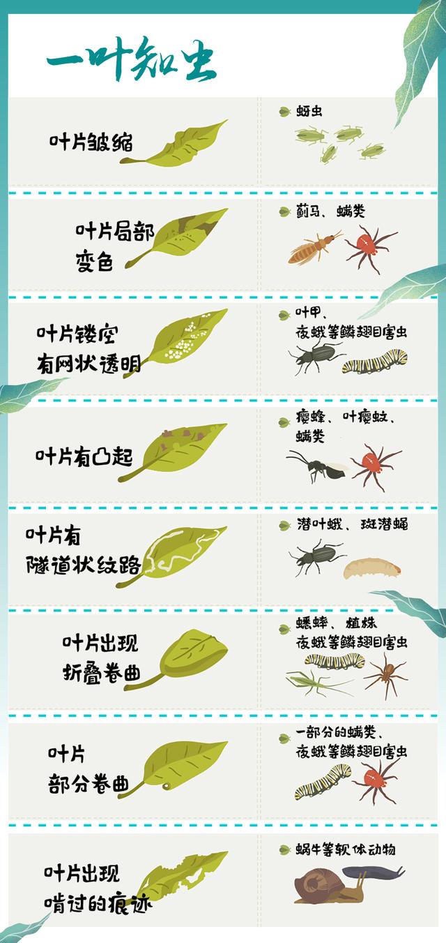 新农人搞种植要记住这几点忠告,绿色农业怎么预防病虫害