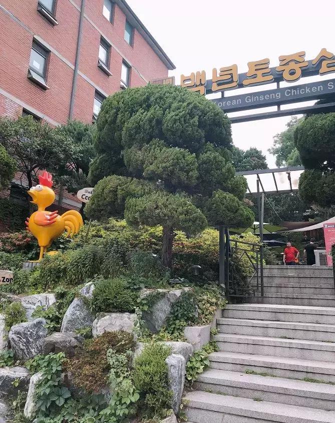 来首尔，一定要逛这些店！|首尔探店（下篇）