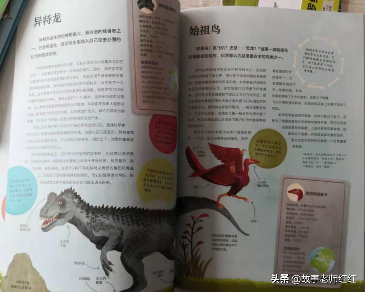 大概了解一下恐龙的一些常识,恐龙是不是能让大家很喜欢恐龙