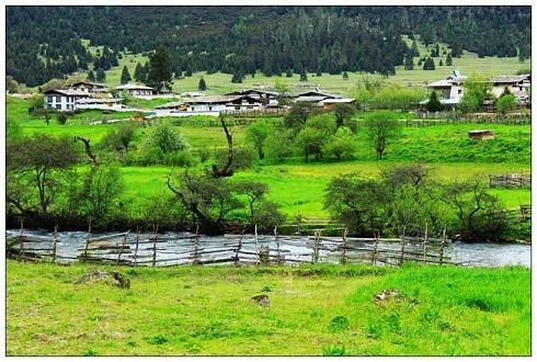 诗经知我者谓我心忧全文,诗经黍离之悲