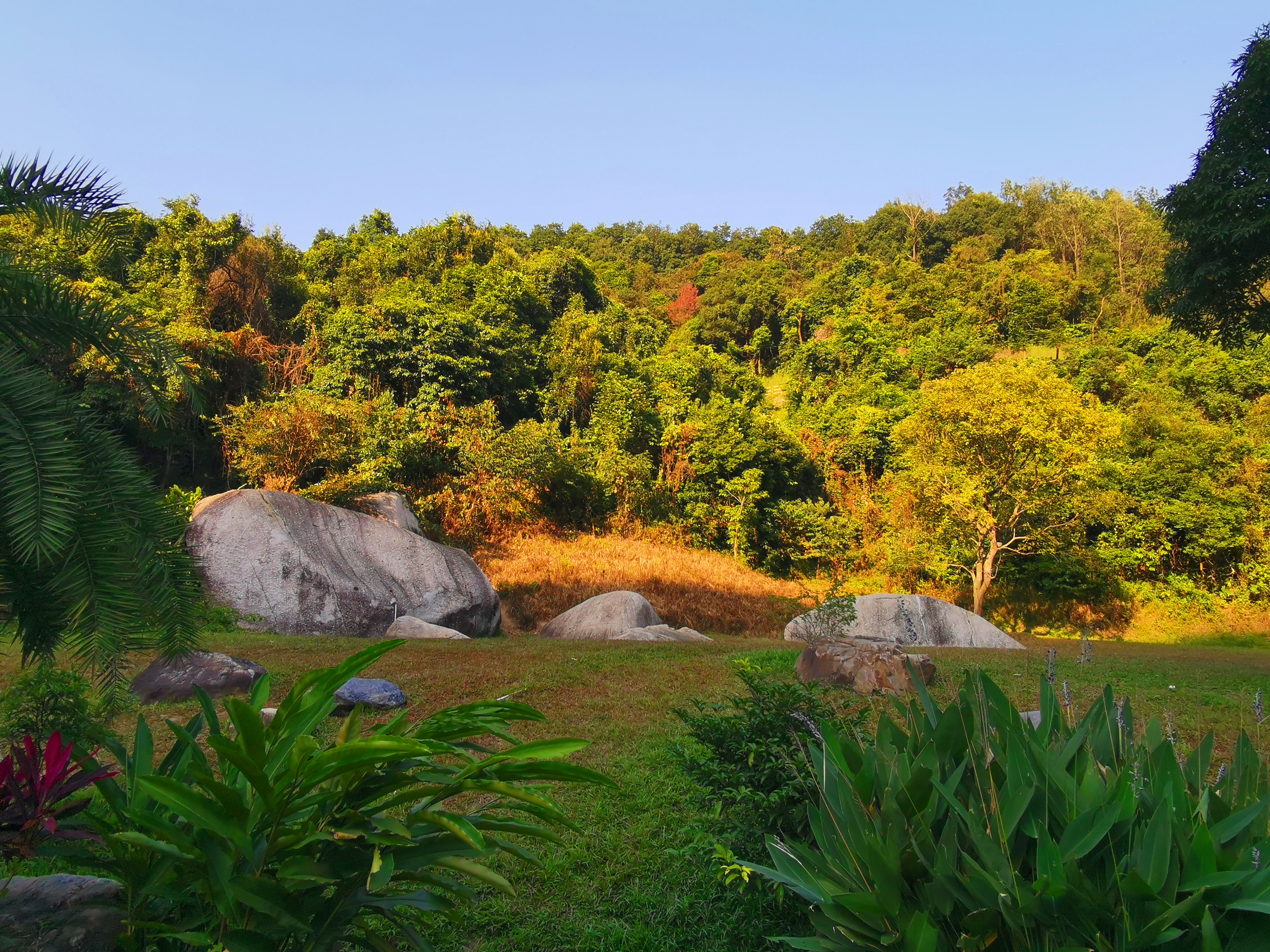 羊台山玻璃观景台在哪里,深圳羊台山最佳观景