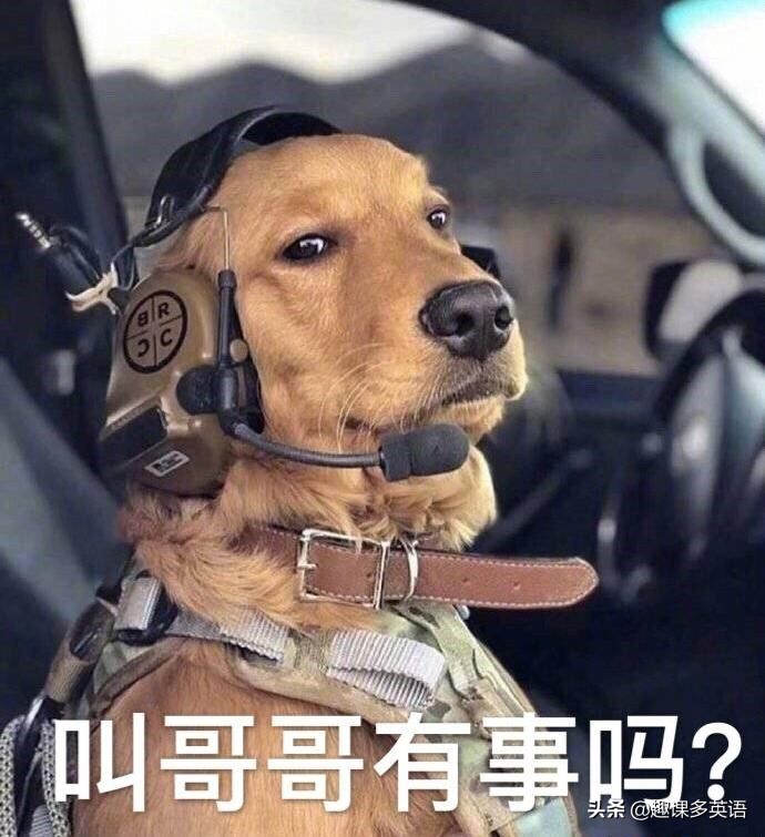 cue什么意思网络上,网络上说的被cue到是什么意思