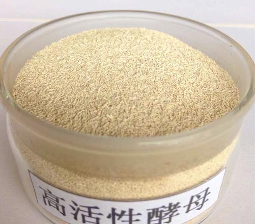 食用碱小苏打泡打粉酵母粉的作用,小苏打食用碱泡打粉酵母粉的作用