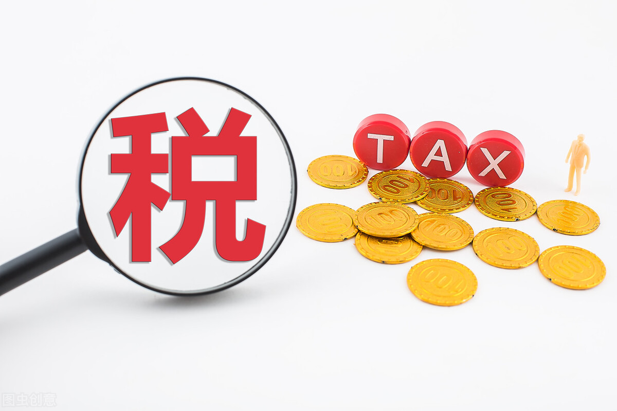 增值税一般纳税人账务处理 (小规模纳税人免增值税账务处理)