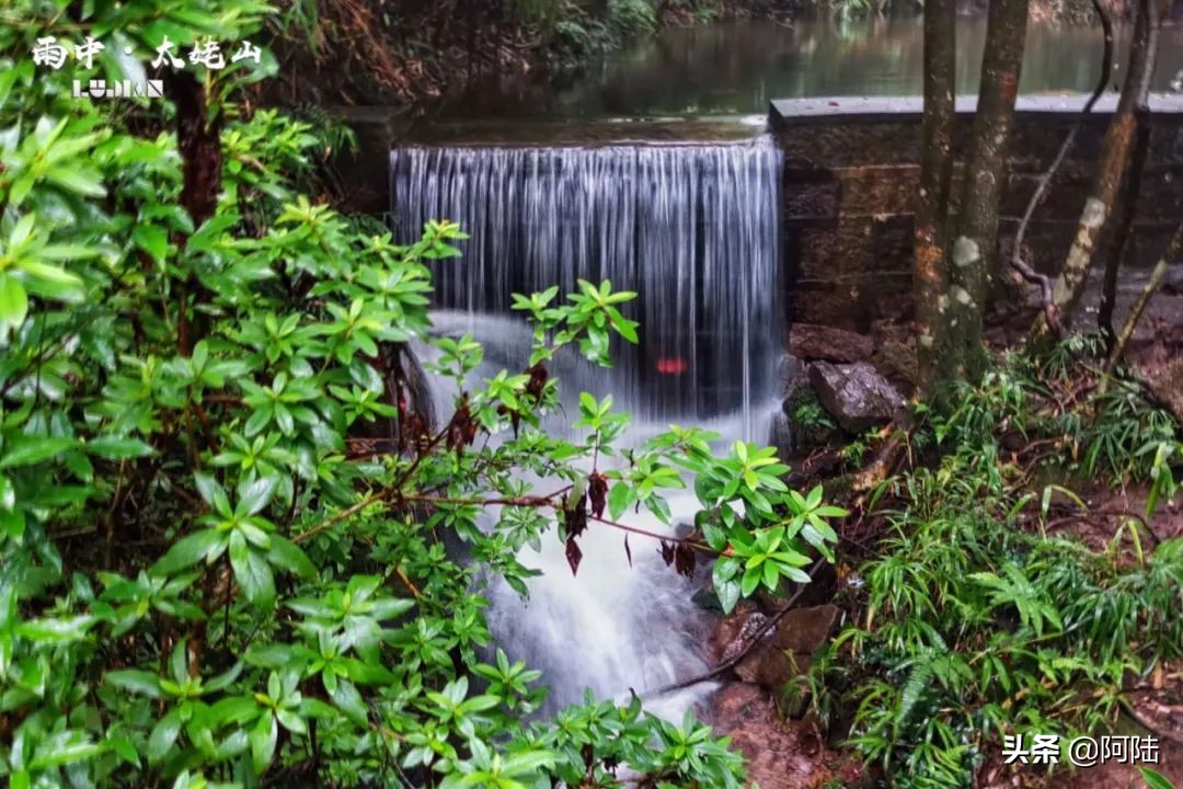 雨中爬太姥山,雨中登太姥山