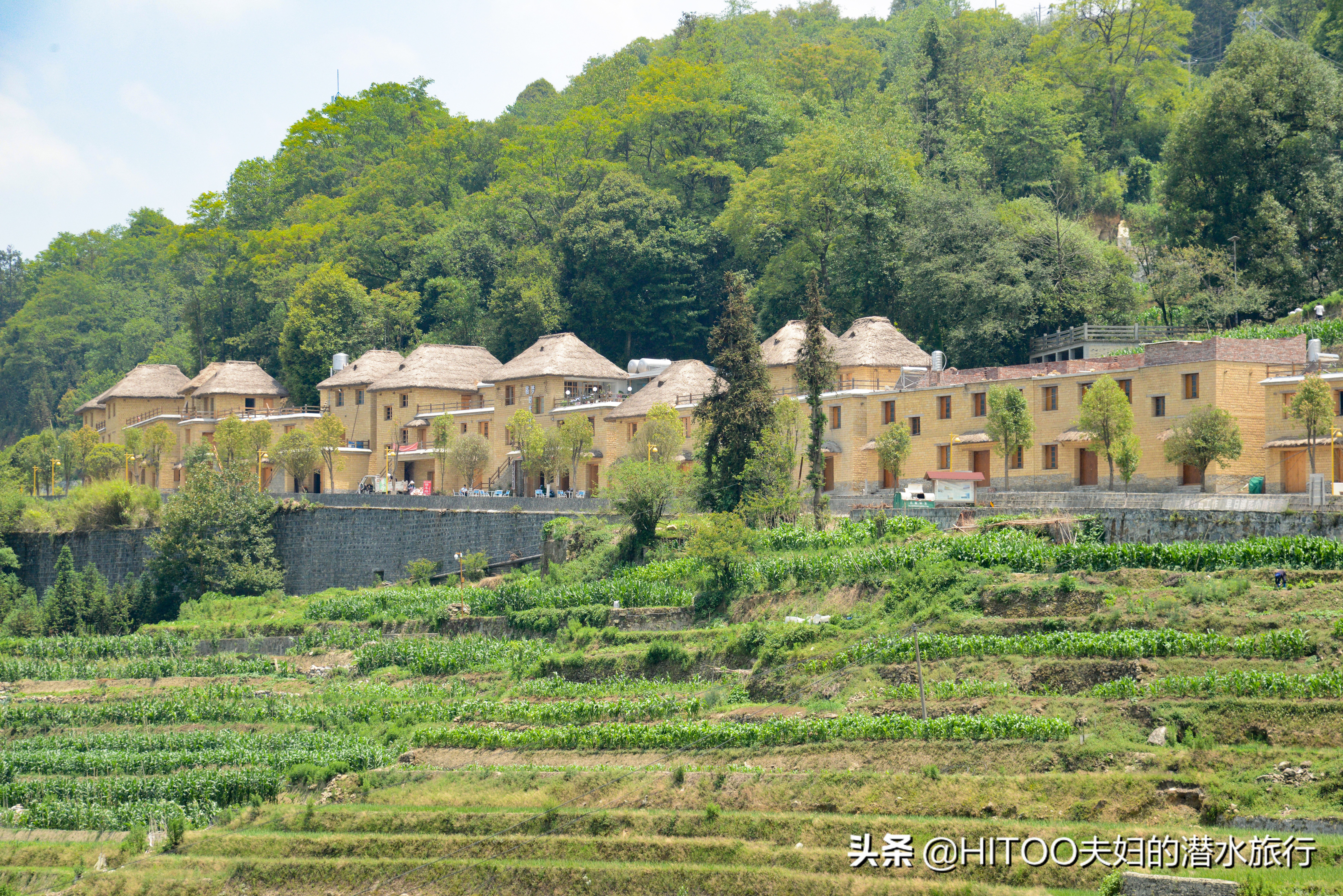 不花钱看元阳梯田自驾攻略,元阳梯田自驾游攻略