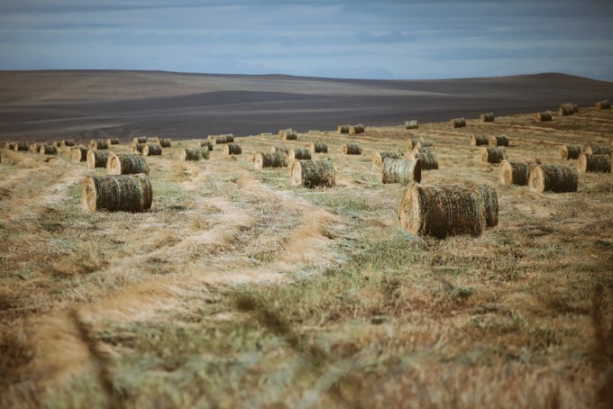 自驾呼伦贝尔|七千里路云和月,写给秋天和自己的故事