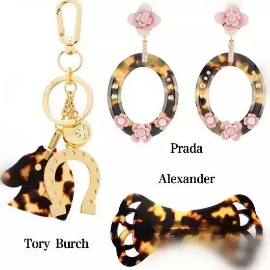 玳瑁海底软黄金,黄金玳瑁