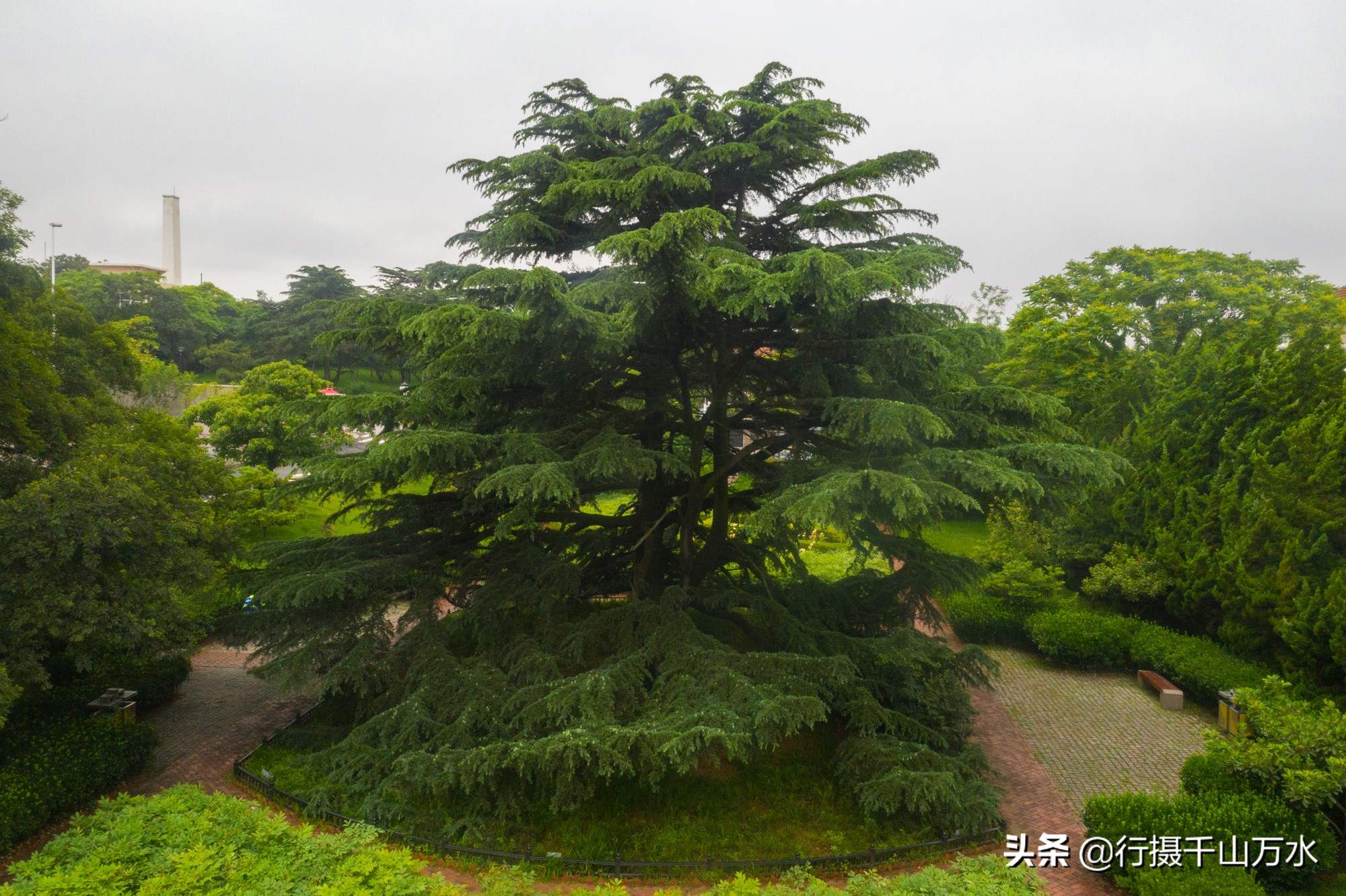青岛八大关建筑特色介绍,八大关被誉为万国建筑博览会