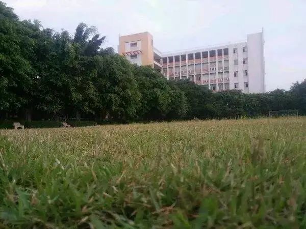 高职高考必看广州华商职业学院,高职高考复习资料广东推荐