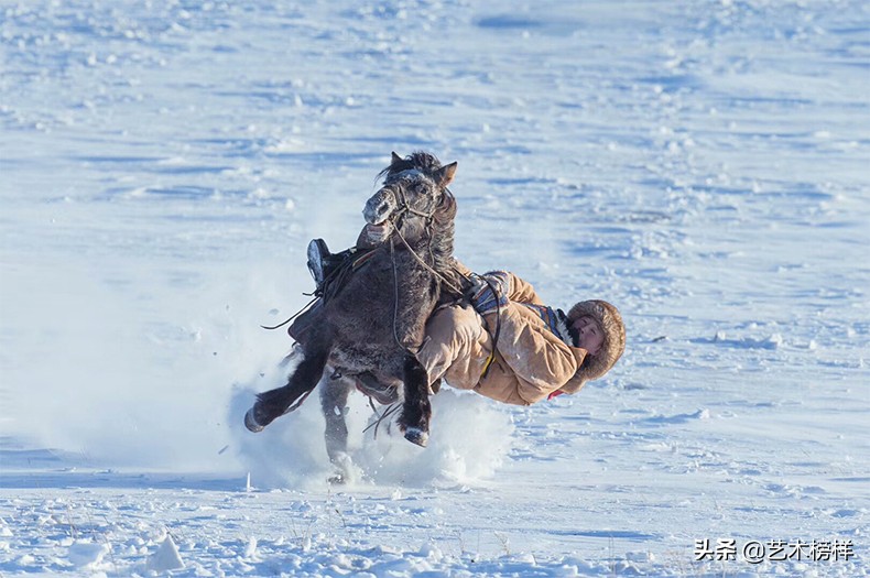 摄影家张明友：把“蒙古马精神”传播到全世界