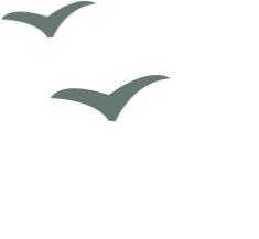 招聘167个岗位,招聘事业单位工作人员300名