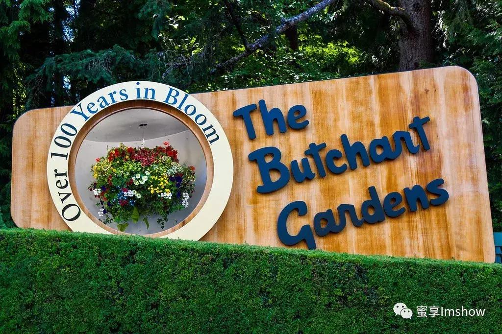 走进爱丽丝梦游仙境,爱丽丝梦游仙境绝美森林