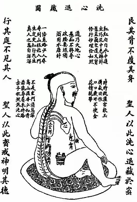 头上持续白发补点什么,头顶旋处有好多白发