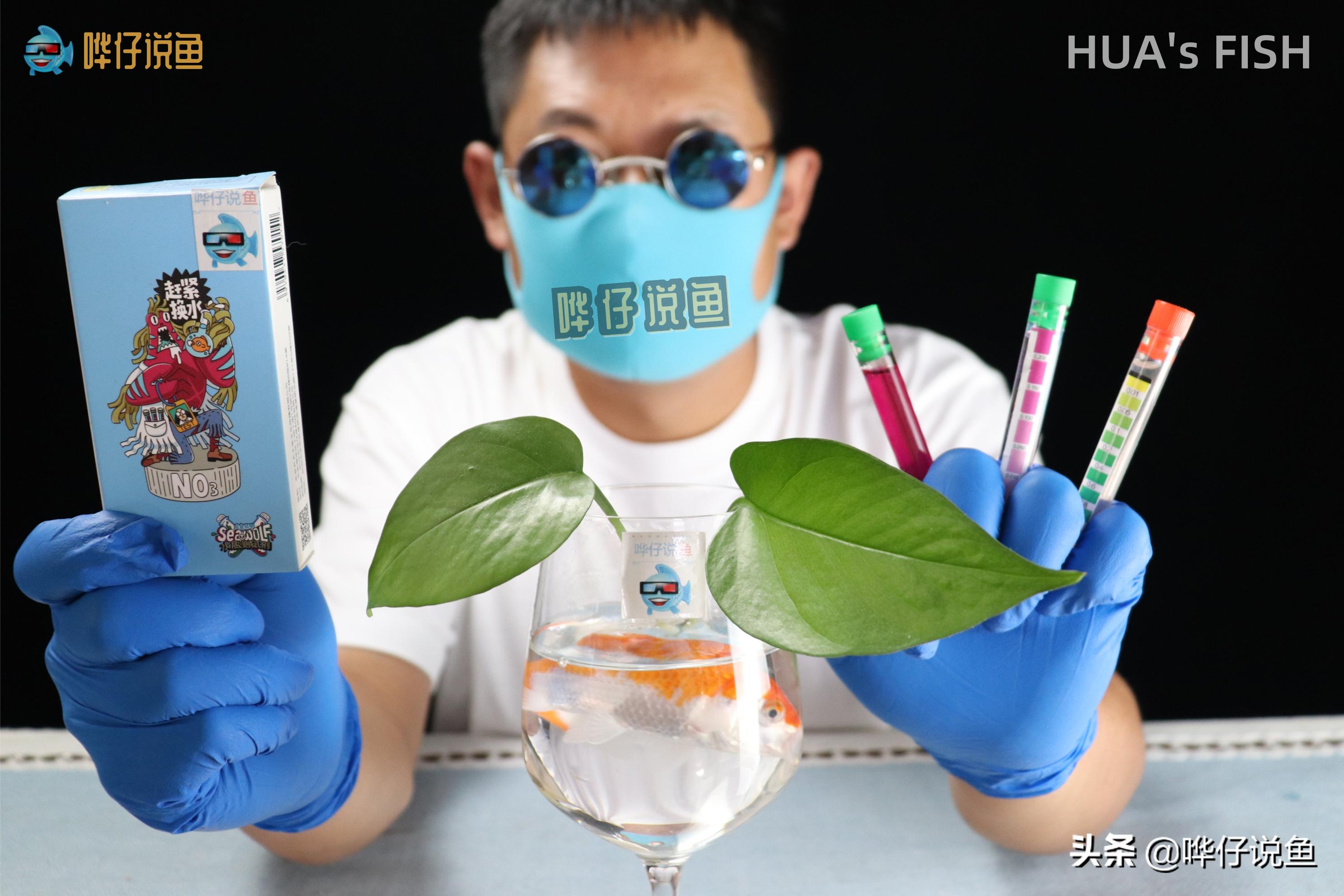 为什么都说硝化细菌是智商税,鱼缸过滤硝化细菌解释图