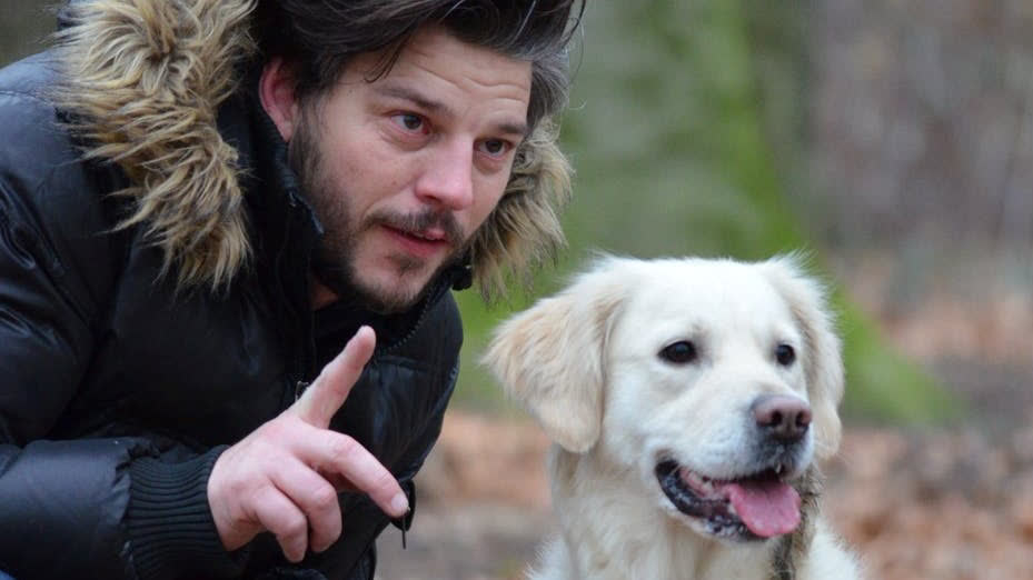 狗狗先训练什么,训练狗狗是不是让它先饿着