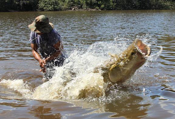 盘点钓鱼中钓出很奇葩鱼,盘点钓鱼钓出稀奇古怪的东西