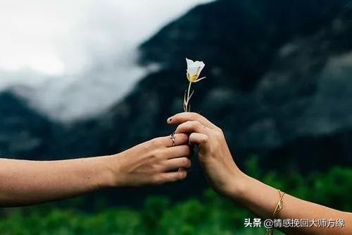 离婚已成必然怎么办,离婚到了决定期该如何挽回