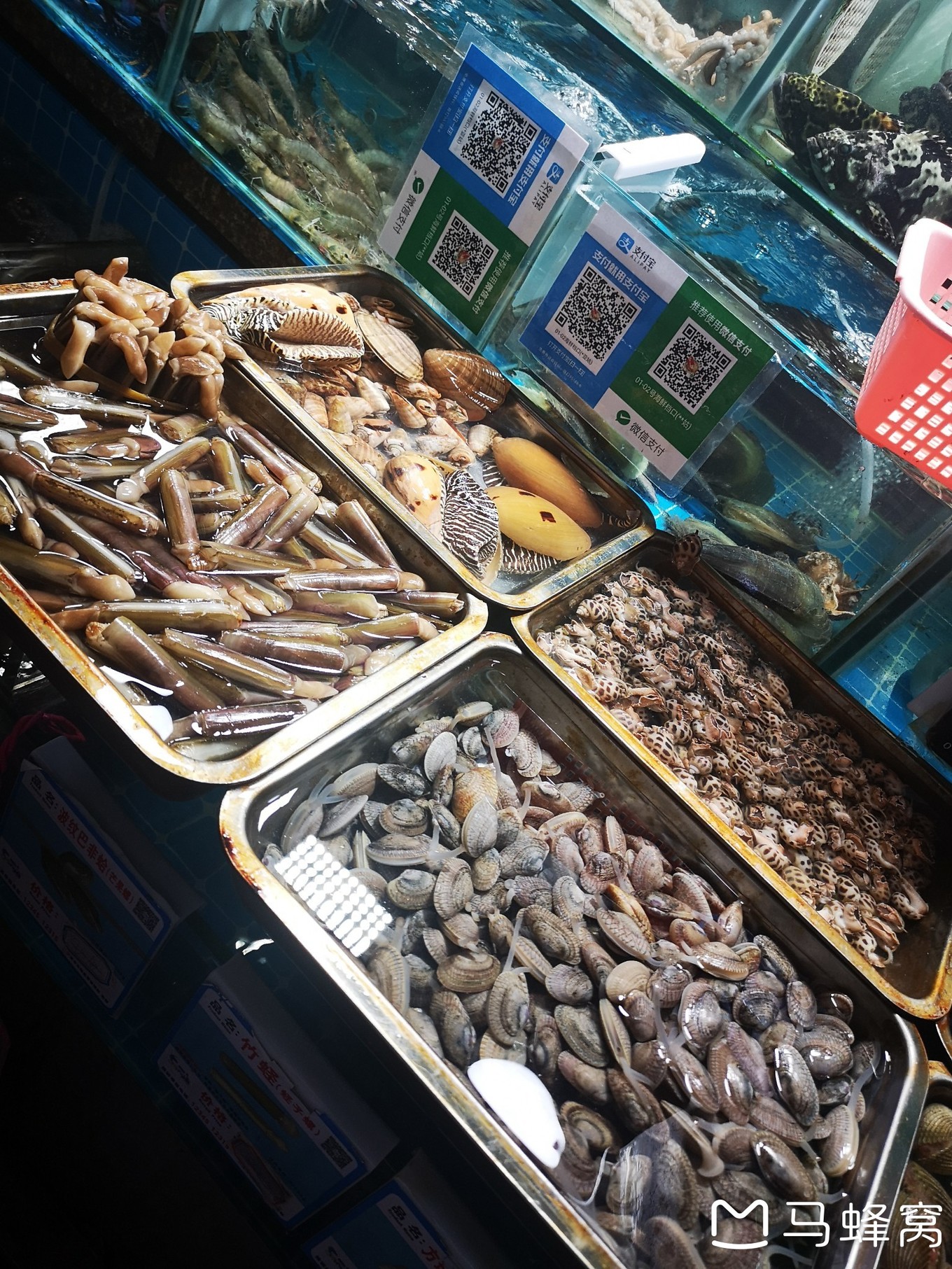 三亚夏天的海和冬天的海,三亚冬天如夏