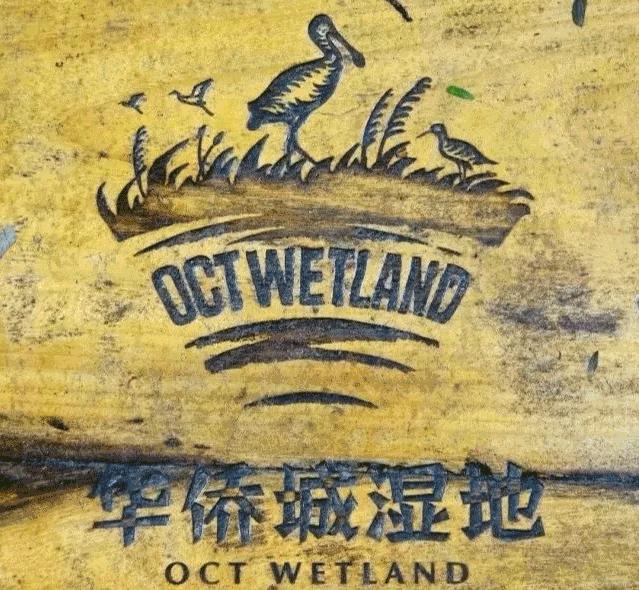 深圳遛娃必去的50个主题公园,深圳亲子游十佳去处免费