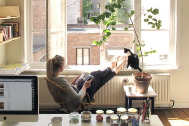 养猫咪需要注意什么铲屎官看过来,如何让猫咪作息时间跟铲屎官一致