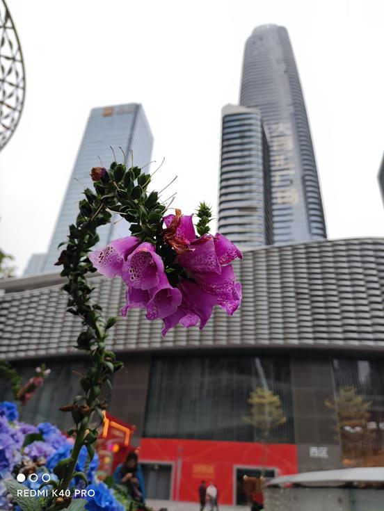 红米k40pro+详细评测,k40pro评测缺点