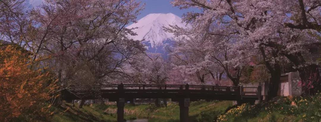 迟子建散文经典语句,迟子建散文人生感悟语句